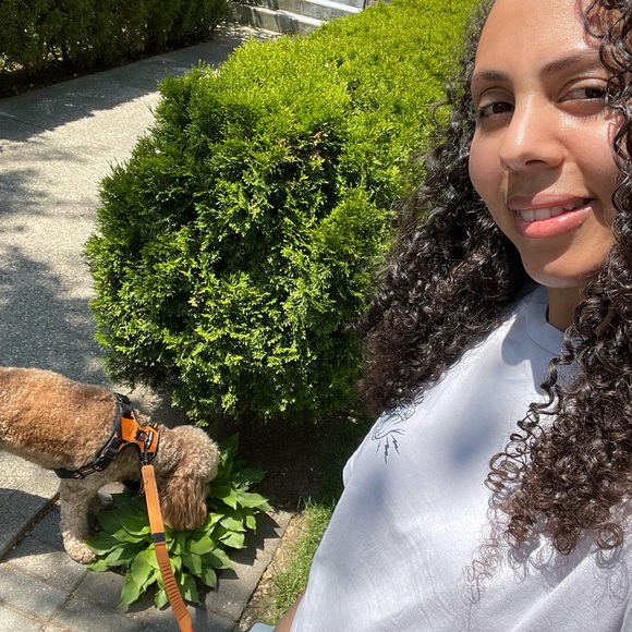 Meet your Posher, Betsy - Picture 4 of 5